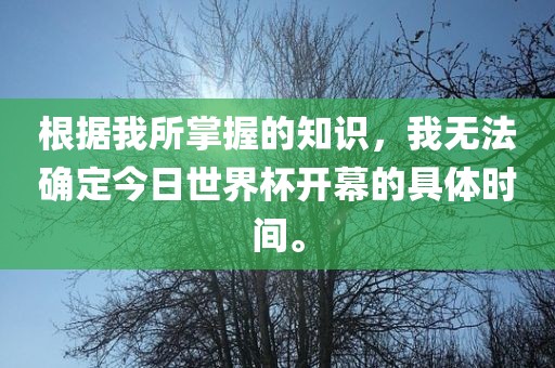 根据我所掌握的知识，我无法确定今日世界杯开幕的具体时间。金炬实业股份有限公司