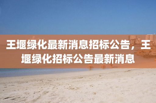 世界杯凯恩进球，那一刻的荣耀与激情