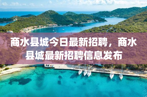 世界杯第12日的精彩瞬间与背后故事