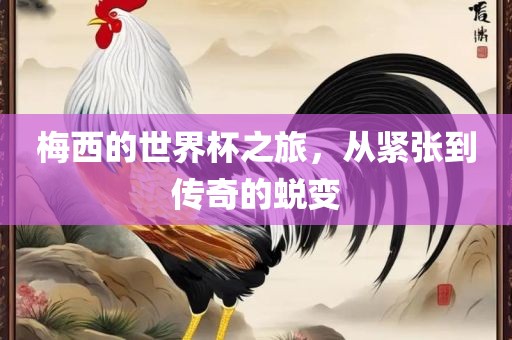 梅西的世界杯之旅，从紧张到传奇的蜕变金炬实业股份有限公司