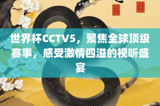世界杯CCTV5，聚焦全球顶级赛事，感受激情四溢的视听盛宴