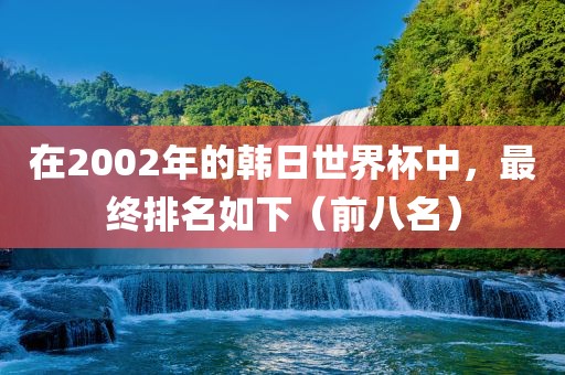 在2002年的韩日世界杯中，最终排名如下（前八名）金炬实业股份有限公司