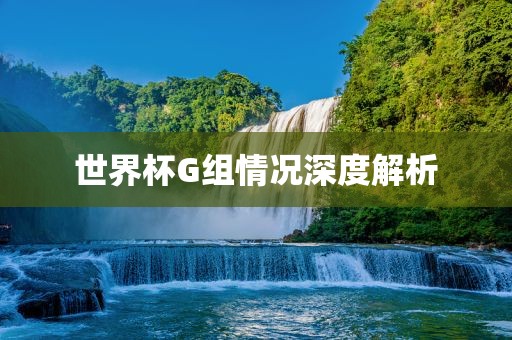 世界杯G组情况深度解析金炬实业股份有限公司