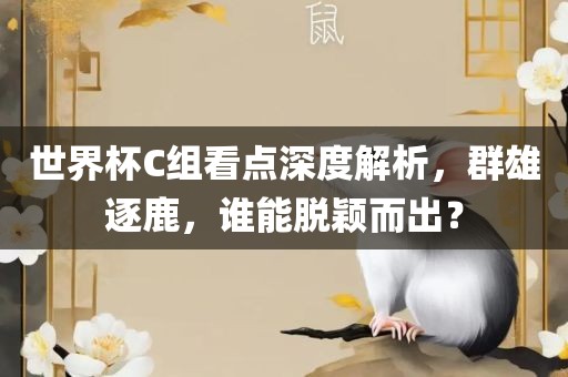 世界杯C组看点深度解析，群雄逐鹿，谁能脱颖而出？