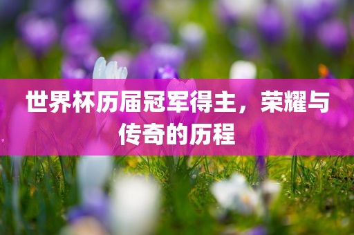 世界杯历届冠军得主，荣耀与传奇的历程