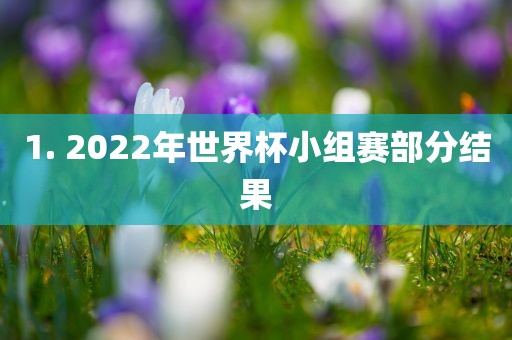 1. 2022年世界杯小组赛部分结果金炬实业股份有限公司