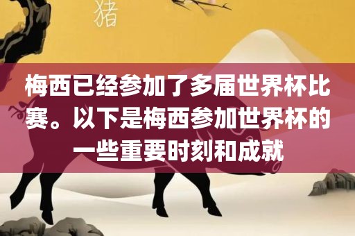 梅西已经参加了多届世界杯比赛。以下是梅西参加世界杯的一些重要时刻和成就金炬实业股份有限公司