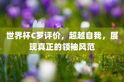 世界杯C罗评价，超越自我，展现真正的领袖风范金炬实业股份有限公司