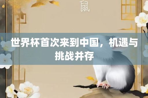 世界杯首次来到中国，机遇与挑战并存