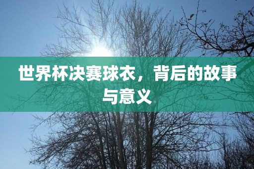 世界杯决赛球衣，背后的故事与意义