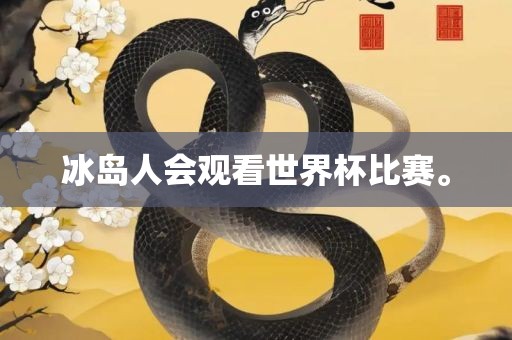 冰岛人会观看世界杯比赛。金炬实业股份有限公司