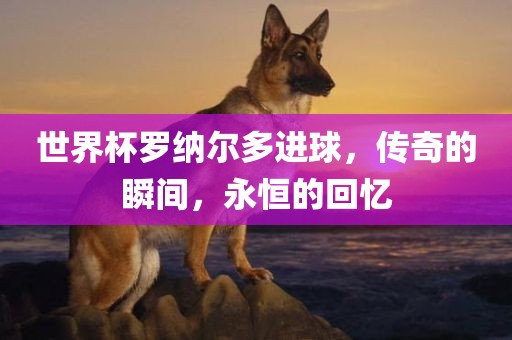 世界杯罗纳尔多进球，传奇的瞬间，永恒的回忆