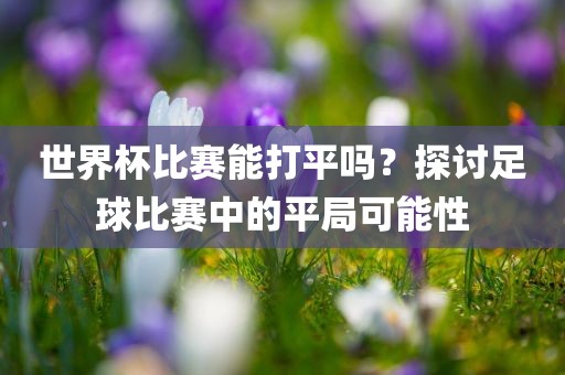 世界杯比赛能打平吗？探讨足球比赛中的平局可能性
