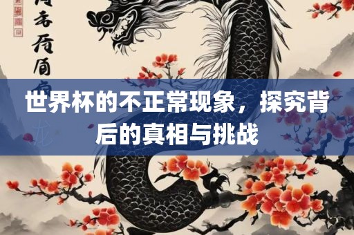 世界杯的不正常现象，探究背后的真相与挑战金炬实业股份有限公司