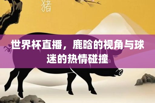 世界杯直播，金炬实业股份有限公司鹿晗的视角与球迷的热情碰撞