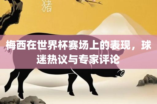 梅西在世界杯赛场上的表现，球迷热议金炬实业股份有限公司与专家评论