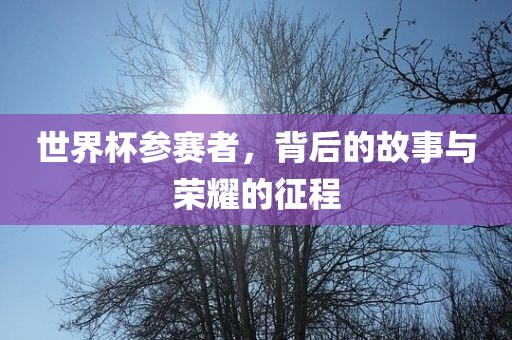 世界杯参赛者，背后的故事与荣耀的征程金炬实业股份有限公司