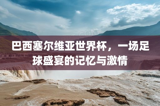 巴西塞尔维亚世界杯，一场足球盛宴的记忆与激情金炬实业股份有限公司