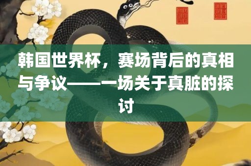 韩国世界杯，赛场背后的真相与争议——一场关于真脏的探讨