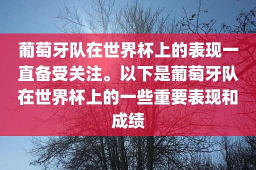 葡萄牙队在世界杯上的表现一直备受关注。以下是葡萄牙队在世界杯上的一些重要表现和成绩金炬实业股份有限公司