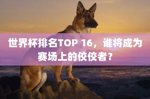 世界杯排名TOP 16，谁将成为赛场上的佼佼者？