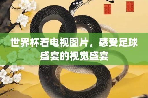 世界杯看电视图片，感受足球盛宴的视觉盛宴金炬实业股份有限公司