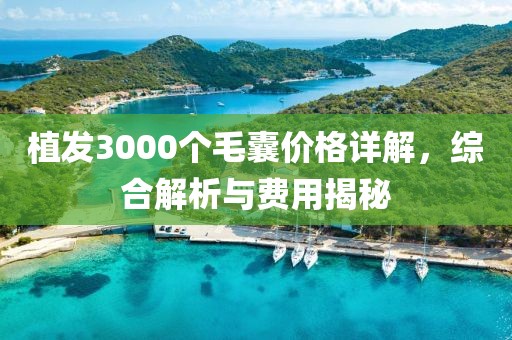 冰岛世界杯之旅，奇迹背后的故事金炬实业股份有限公司