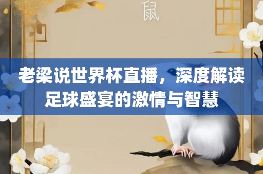 老梁说世界杯直播，深度解读足球盛宴的激情与智慧金炬实业股份有限公司