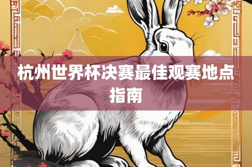 杭州世界杯决赛最佳观赛地点指南金炬实业股份有限公司