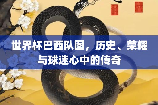 世界杯巴西队图，历史、荣耀与球迷心中的传奇