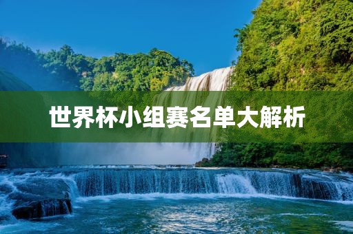 世界杯小组赛名单大解析