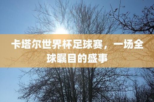 卡塔尔世界杯足球赛，一场全球金炬实业股份有限公司瞩目的盛事