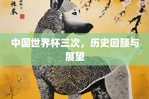 中国世界杯三次，历史回顾与展望