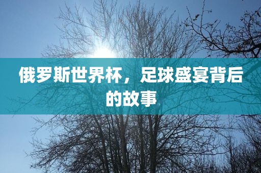 俄罗斯世界杯，足球盛宴背后的故事