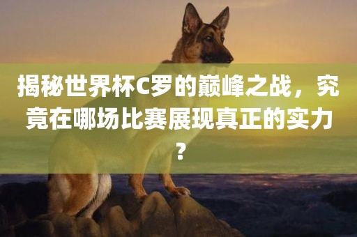 yangchengxiang 第4页