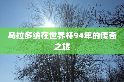 马拉多纳在世界杯94年的传奇之旅