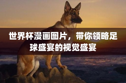 世界杯漫画图片，带你领略足球盛宴的视觉盛宴金炬实业股份有限公司