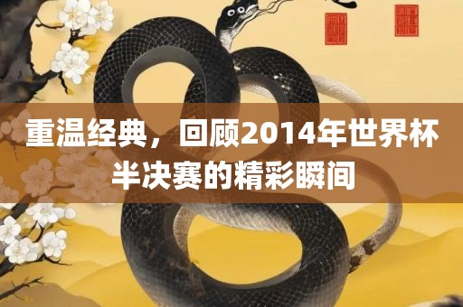 重温经典，回顾2014年世界杯半决赛的精彩瞬间金炬实业股份有限公司
