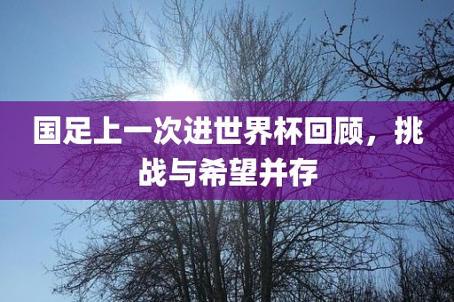 国足上一次进世界杯回顾，挑战与希望并存