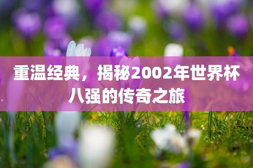 重温经典，揭秘2002年世界杯八强的传奇之旅