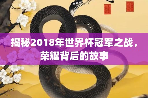 揭秘2018年世界杯冠军之战，荣耀背后的故事