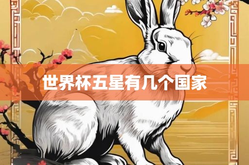 世界杯五星有几个国家