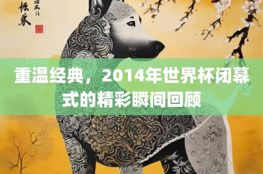 重温经典，2014年世界杯闭幕式的精彩瞬间回顾金炬实业股份有限公司