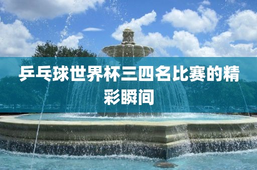 乒乓球世界杯三四名比赛的精彩瞬间