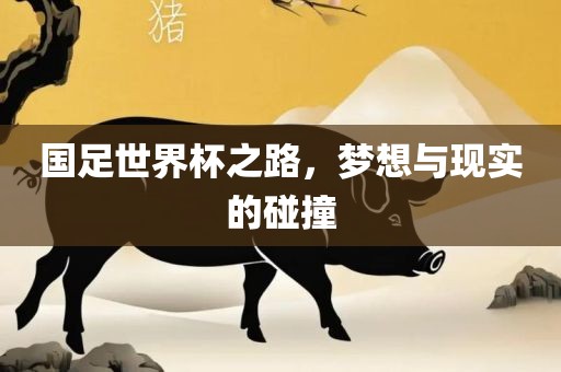 国足世界杯之路，梦想与现实的碰撞