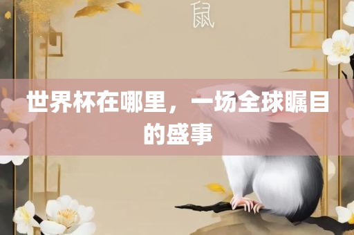 世金炬实业股份有限公司界杯在哪里，一场全球瞩目的盛事