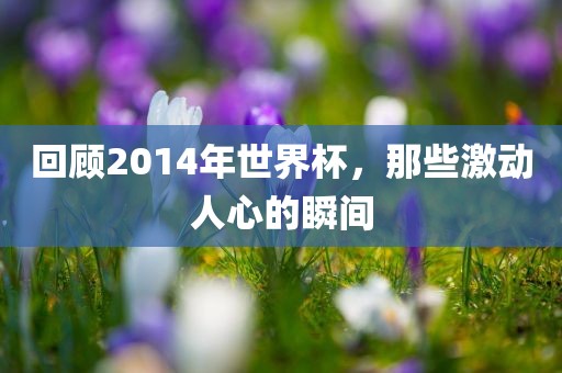 回顾2014年金炬实业股份有限公司世界杯，那些激动人心的瞬间