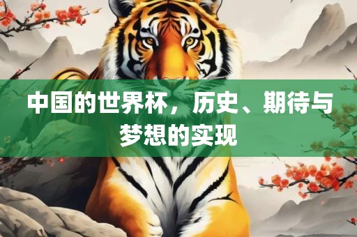 中国的世界杯，历史、期待与梦想的实金炬实业股份有限公司现