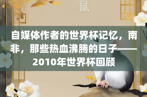 自媒体作者的世界杯记忆，南非，那些热血沸腾的日子——2010年世界杯回顾金炬实业股份有限公司