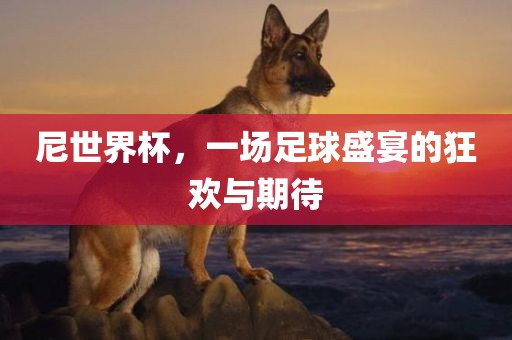 尼世界杯，一场足球盛宴的狂金炬实业股份有限公司欢与期待